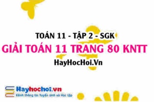 Giải Toán 11 trang 80 tập 2 Kết nối tri thức